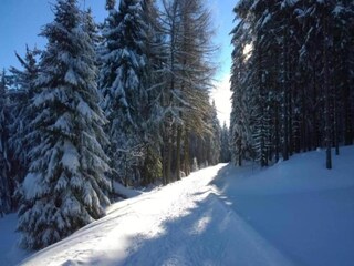 Maison de vacances Altenfeld Environnement 32