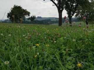 Casa de vacaciones Altenfeld Entorno 21