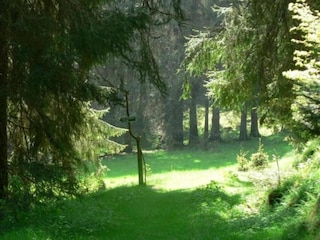 Ferienhaus Altenfeld Umgebung 28