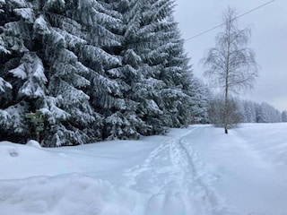 Ferienhaus Altenfeld Umgebung 25