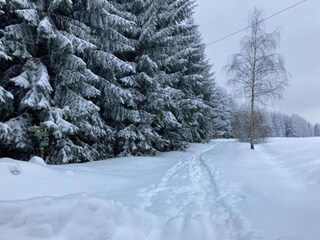 Holiday house Altenfeld Environment 25