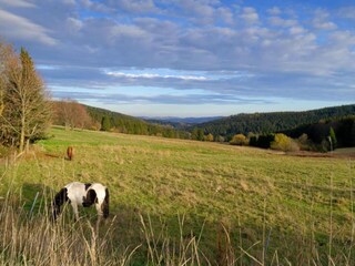 Holiday house Altenfeld Environment 12