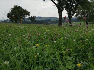 Vakantiehuis Altenfeld Omgeving 11