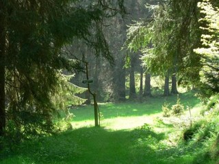 Holiday house Altenfeld Environment 19