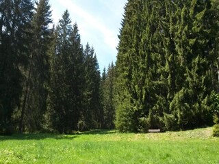 Holiday house Altenfeld Environment 20