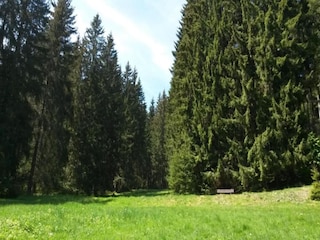 Vakantiehuis Altenfeld Omgeving 31
