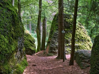 Vakantiehuis Altenfeld Omgeving 32