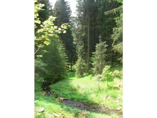Holiday house Altenfeld Environment 30
