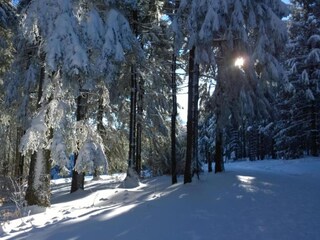 Casa de vacaciones Altenfeld Entorno 16