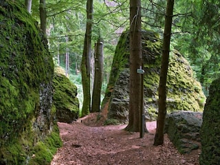 Maison de vacances Altenfeld Environnement 34