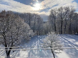 Maison de vacances Altenfeld Environnement 35