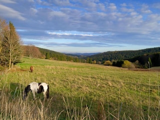Vakantiehuis Altenfeld Omgeving 24
