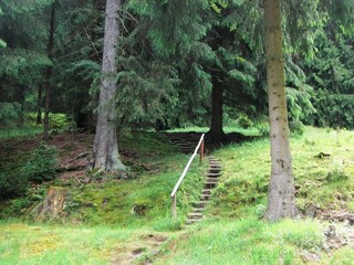 Casa de vacaciones Großbreitenbach Características 9