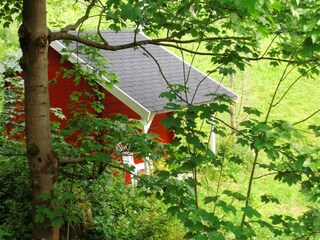 Casa de vacaciones Großbreitenbach Características 11