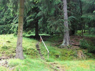 Casa de vacaciones Großbreitenbach Características 30