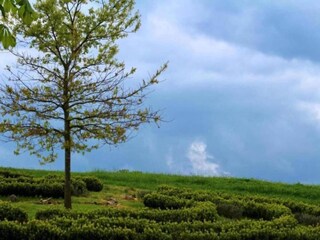 Vakantiehuis Altenfeld Omgeving 36