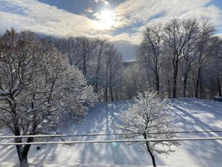 Casa per le vacanze Altenfeld Ambiente 19