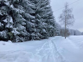 Holiday house Altenfeld Environment 30