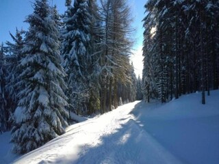 Ferienhaus Altenfeld Umgebung 31