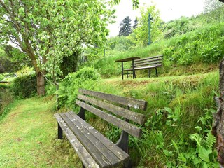 Ferienhaus Oehrenstock Außenaufnahme 4