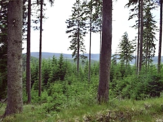 Casa per le vacanze Gehren Ambiente 23