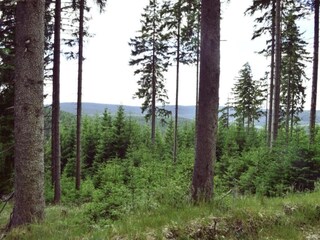 Casa per le vacanze Gehren Ambiente 26