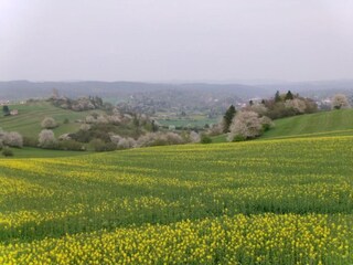 Vakantiehuis Gehren Omgeving 27