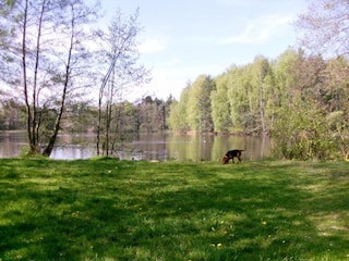 Ferienhaus Gehren Umgebung 28