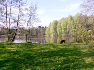 Holiday house Gehren Environment 24