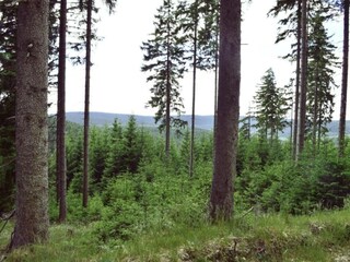 Casa per le vacanze Gehren Ambiente 24