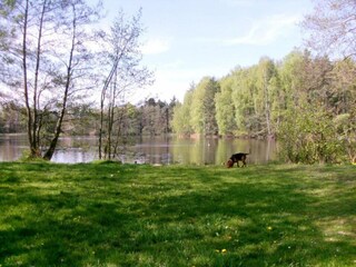 Holiday house Gehren Environment 30