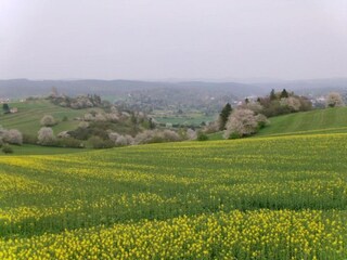 Casa per le vacanze Gehren Ambiente 22