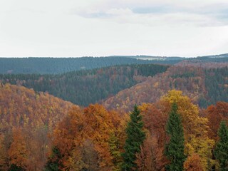 Apartment Frauenwald Environment 30