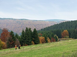 Apartment Frauenwald Environment 32