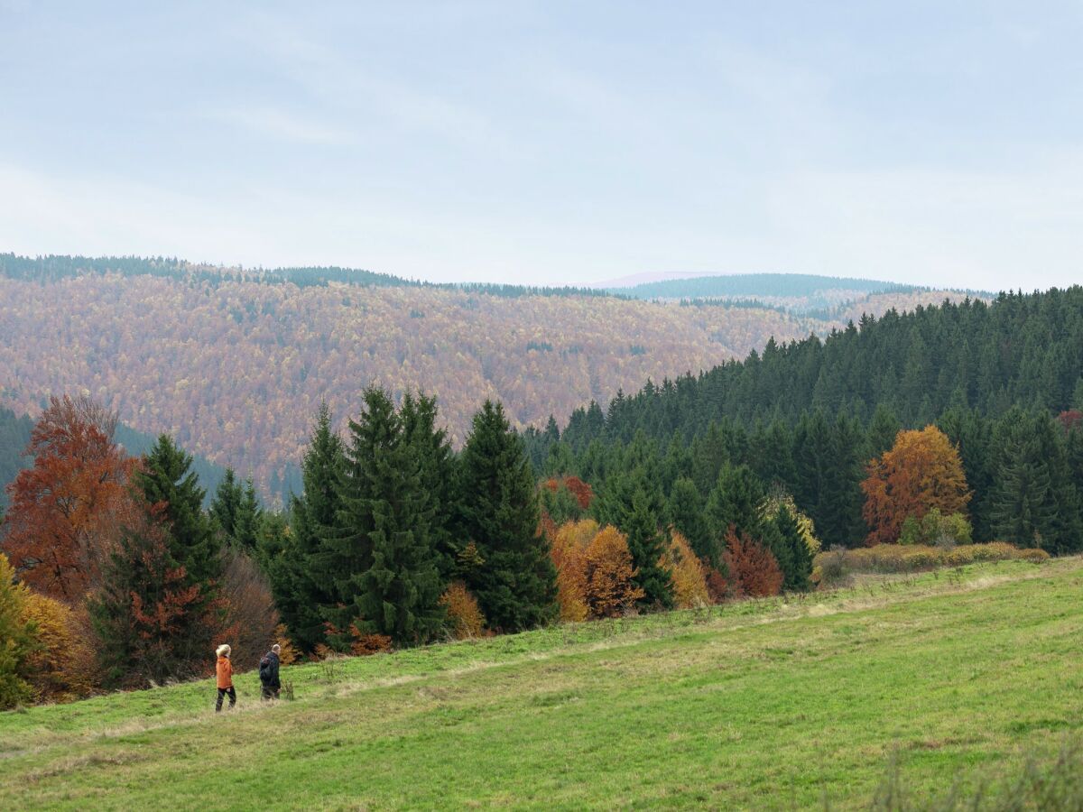 Apartment Frauenwald Umgebung 31