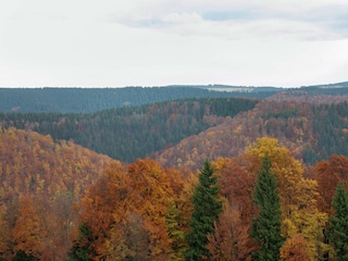 Apartment Frauenwald Environment 31