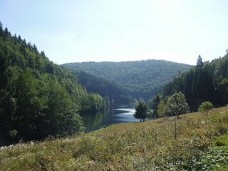 Appartamento Frauenwald Ambiente 31