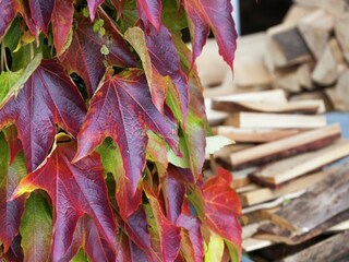 Appartamento Frauenwald  33