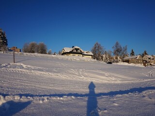 Apartment Frauenwald Umgebung 28