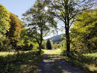 Appartement Frauenwald Omgeving 19
