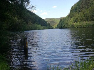 Appartement Frauenwald Omgeving 32