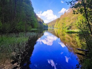 Appartamento Frauenwald Ambiente 34