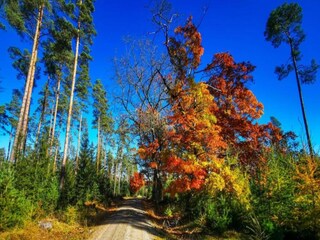 Appartement Frauenwald Environnement 35