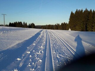 Appartement Frauenwald Environnement 38