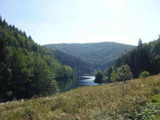 Appartamento Frauenwald Ambiente 21