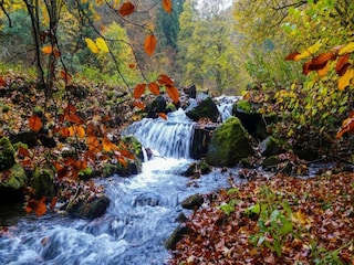 Apartment Frauenwald Umgebung 28