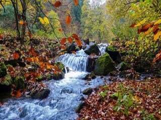 Appartamento Frauenwald Ambiente 23