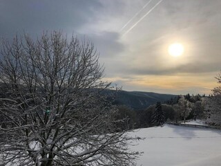 Apartment Frauenwald Umgebung 29