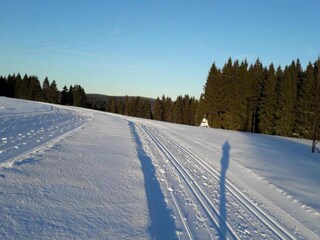 Apartment Frauenwald Umgebung 35