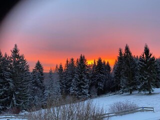 Appartement Frauenwald Environnement 37